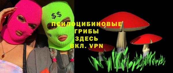 прущий лед Аркадак