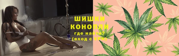 spice Арсеньев
