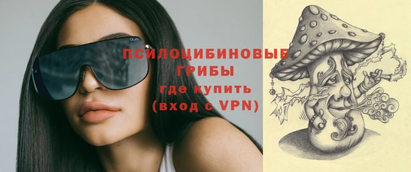прущий лед Аркадак