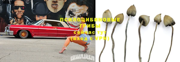 spice Арсеньев