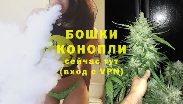 spice Арсеньев