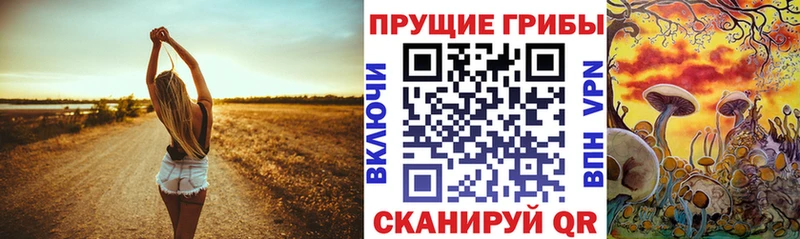 Галлюциногенные грибы прущие грибы  Светлоград 
